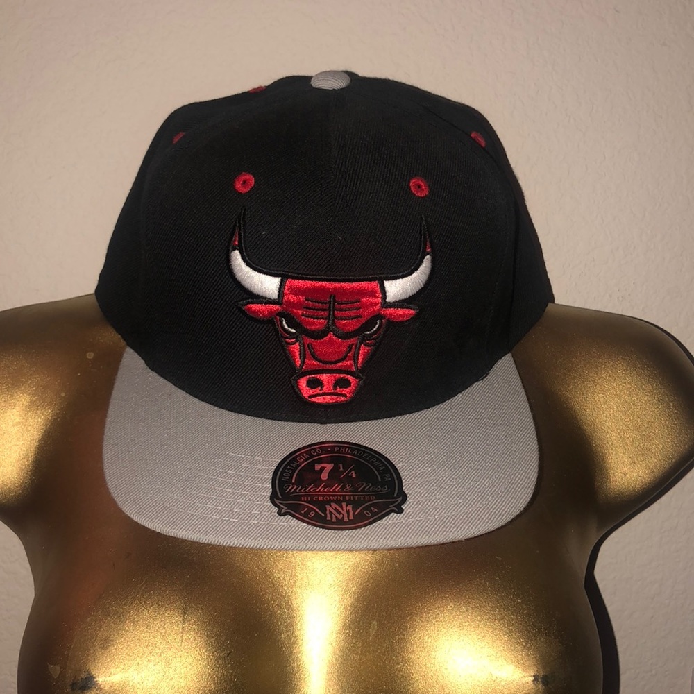 Bulls SnapBack.
